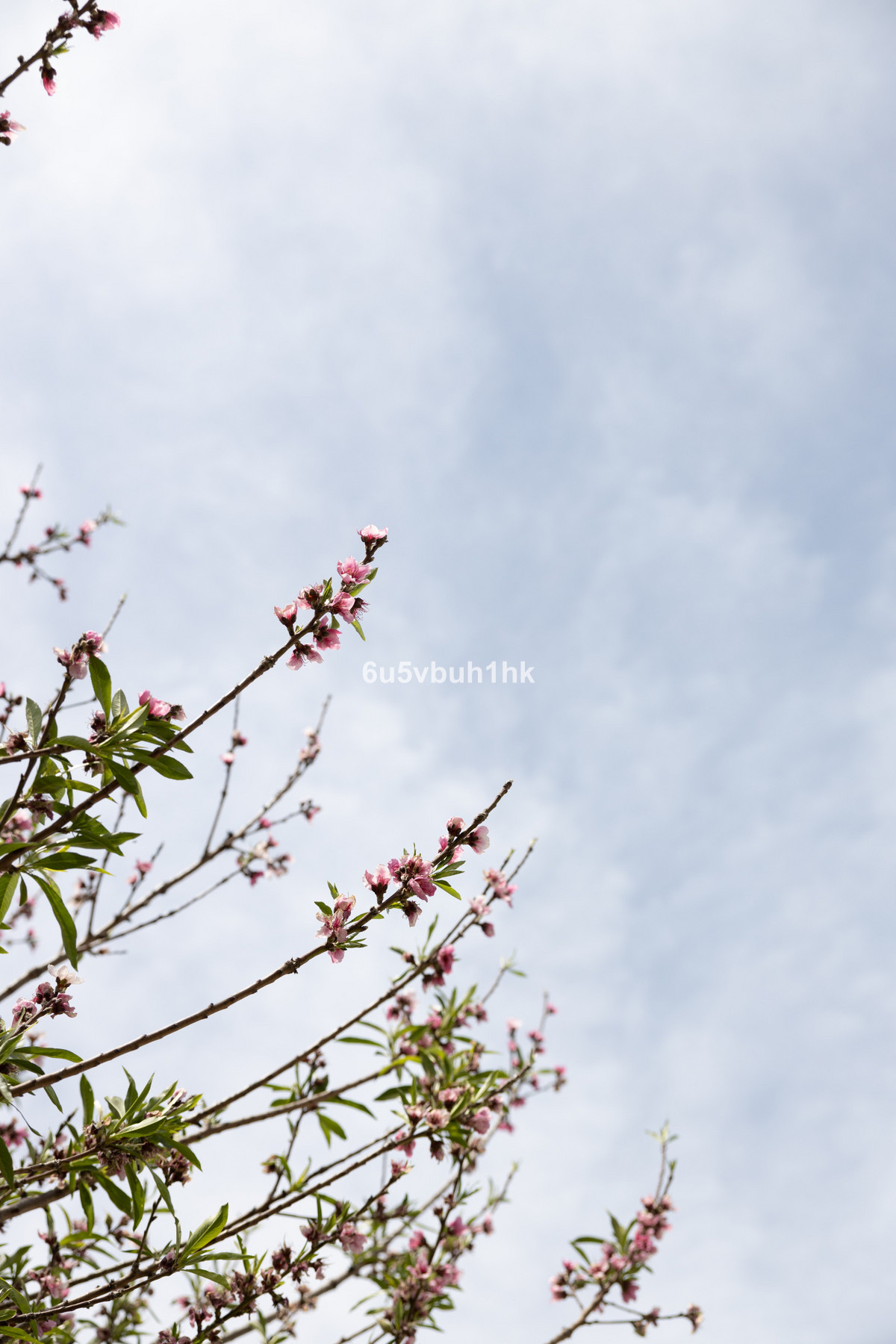 sq-sample7